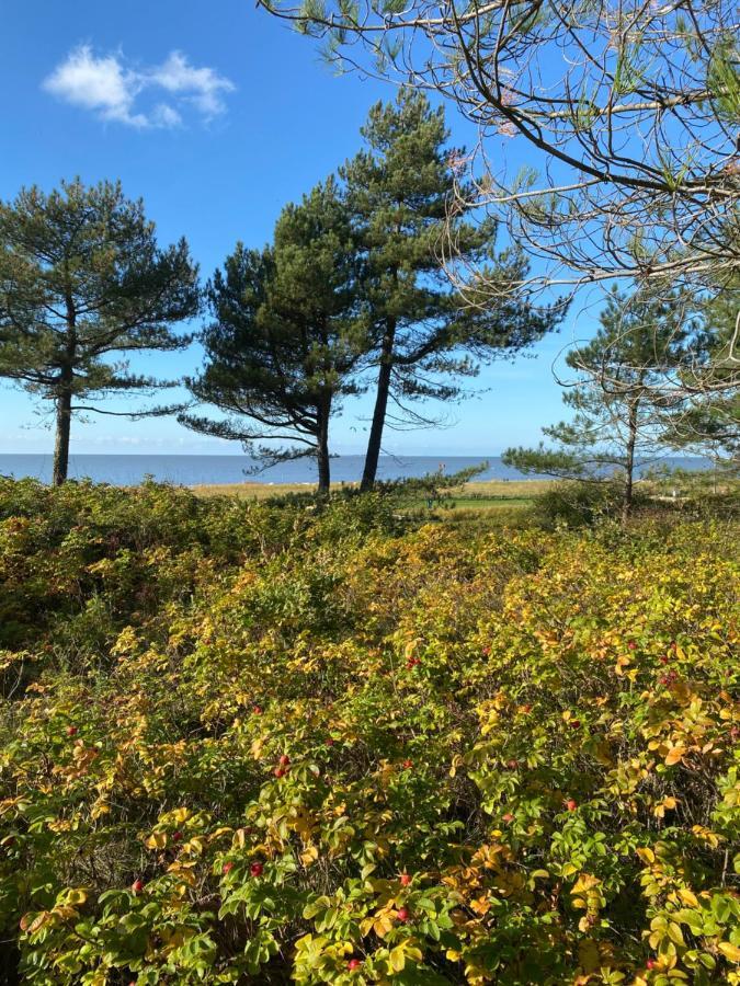 Altes Pastorenhus - Land Und Meer Osterbruch Luaran gambar